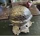 1970's Rare Walnut Shaped Reuge Trinket & Music Box With Leaf Base, Works