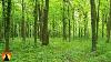 6 Hour Deep Healing Music Relaxing Music Meditation Music Soothing Music Relaxation Music 933