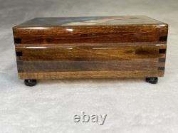 RARE Vintage Reuge Maddonnina Ava Maria Wooden Music Box Virgina Mary Jesus
