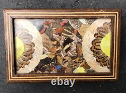Rare Antique Reuge Butterfly Wings Mosaic Wood Music Box Mirror Jewelry Trinket