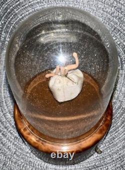 Vintage Reuge Ballerina Domed Music Box 5 Kiss Waltz Works Perfectly