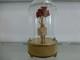 Vintage Reuge Dancing Ballerina Music Box Automaton Restored (watch The Video)