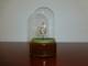 Vintage Reuge Dancing Ballerina Music Box Automaton (watch The Video)