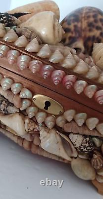 Vintage Reuge Shells Swiss Jewelry Music Box in Wonderful Condition 18 Notes