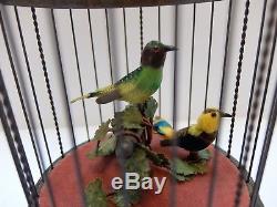 Vintage Reuge Singing Bird Cage Music Box Clockwork Automaton (watch The Video)